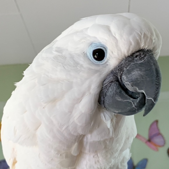 Meet your Posher, Karen - Picture 10 of 12